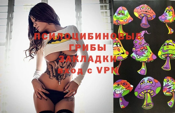 метадон Белокуриха