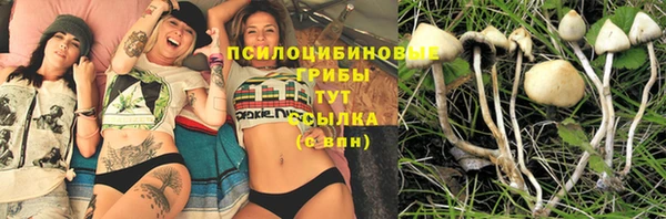 метадон Белокуриха